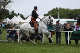 E30_5043 2026