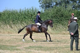 S60_0607 2026