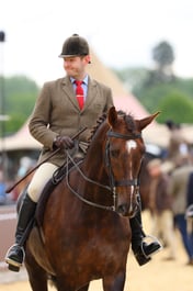 Ridden Hunter Middleweights