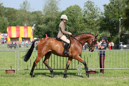 C34_0803 2026