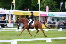 187 LUSUELA
