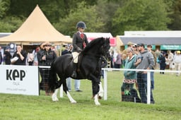E30_3030 2026