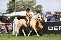 E30_0315 2026