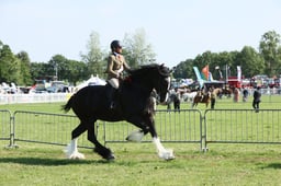 E33_0503 2026