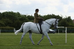 E36_2100 2026