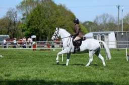 M19_0540 2026