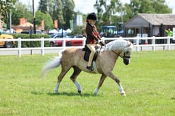 Z41_1253 2026