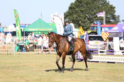 U60_0362 2026
