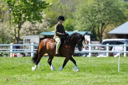 H19_0524 2026