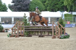 N44_0262 2026