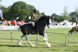 E33_0493 2026