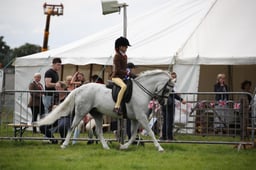 HOYS M&M Junior Ridden Championship