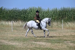 S60_0544 2026