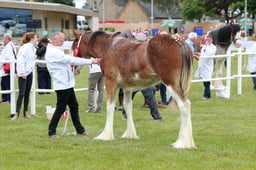 F44_0577 2026