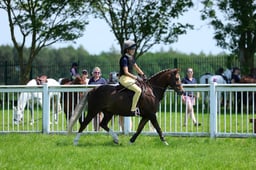 F33_0914 2026