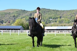 S19_7509 2026