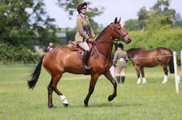 M36_2759 2026
