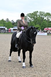 37 Amateur Cob