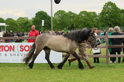 S29_0336 2026