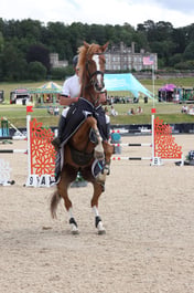 L49_4849 2026