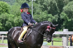 H183 TSR Amateur First Ridden