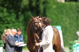 H39_6405 2026