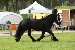 E34_3067 2026