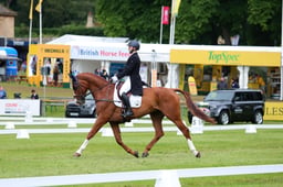 177 NEIL D