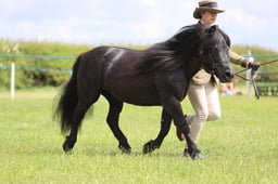J36_7350 2026