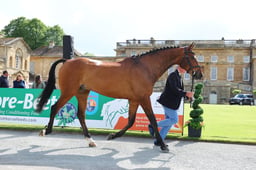 32 TULLYBEE LOUIE