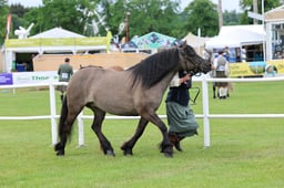 C44_0362 2026