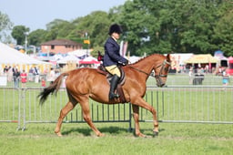 C34_0641 2026