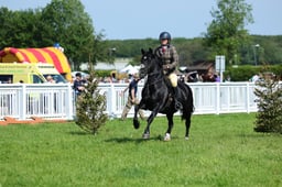 F33_0431 2026