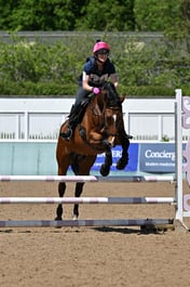 147 HESTEDORA