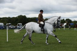 E36_0720 2026