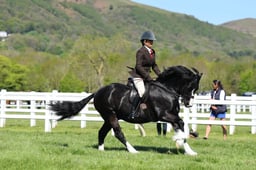 H19_0409 2026