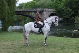 L30_4245 2026
