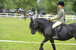 283 M&M Mixed Ridden Gelding Small