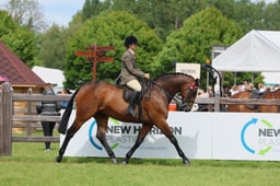 137 Intermediate Show Riding Type