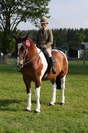 C34_0560 2026