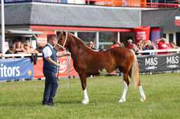 E69_0928 2026