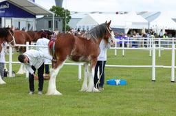 F44_0460 2026