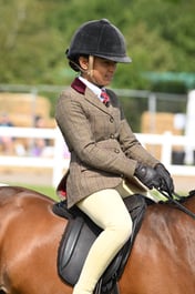 80 Novice Show Hunter Pony 133cm