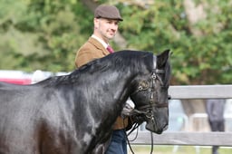 W29_0445 2026