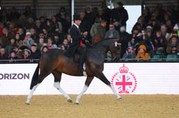 Coloured Ridden Championship