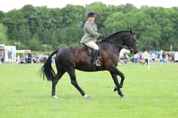 H36_8175 2026