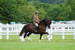 H41_1242 2026