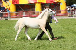 E34_1640 2026