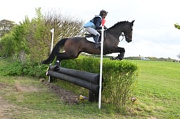 460 PRINCE VERT