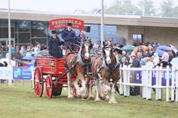 E45_5398 2026
